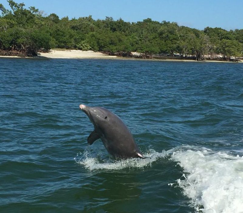 Best eco tour in Marco Island, Florida