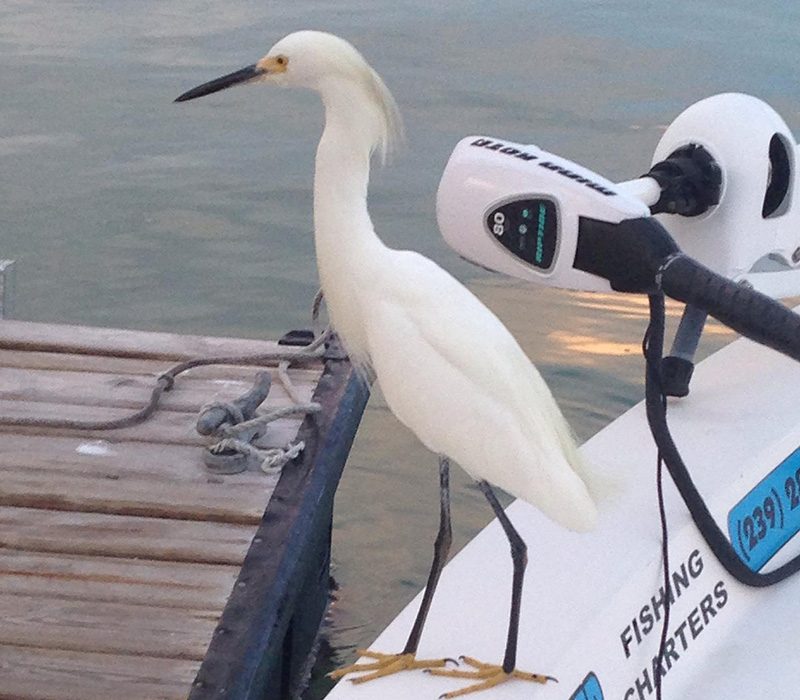 Best eco tour in Marco Island, Florida