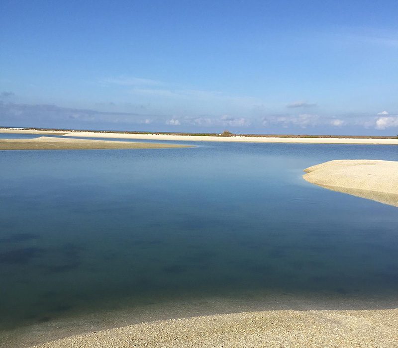 Best eco tour in Marco Island, Florida